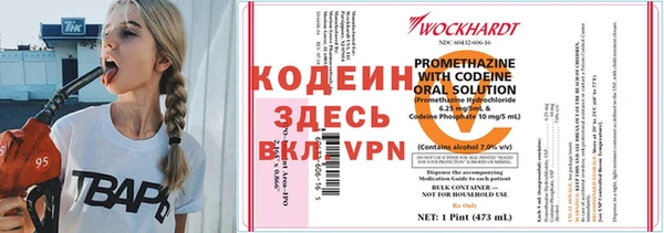 дурь Арсеньев