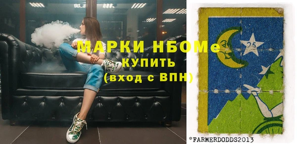 гидра Надым